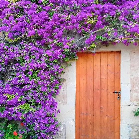 Sa Clota Nova Tatil Evi *