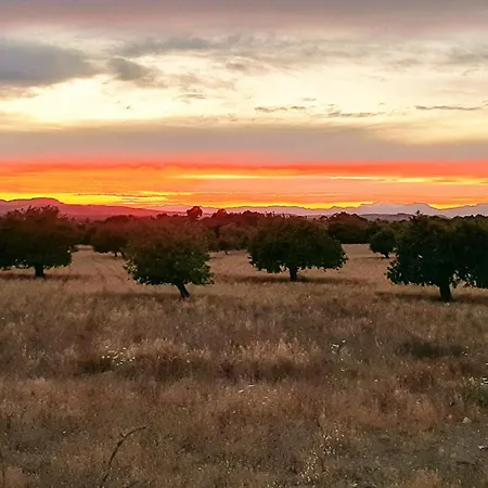 Sa Clota Nova * Felanitx